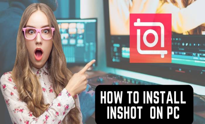 Can You Install Inshot On Pc
