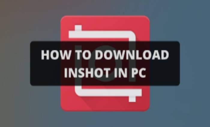 Download Inshot On Pc